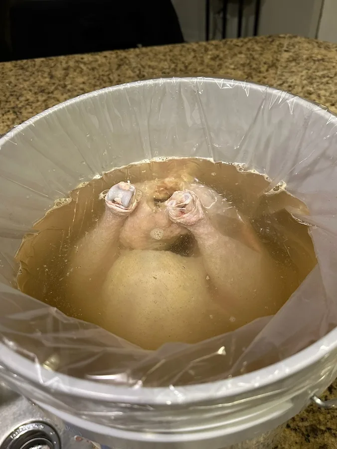 Turkey in the brining bucket