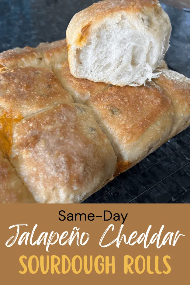 Same Day Jalapeno Cheddar Sourdough Rolls Pin for PInterest