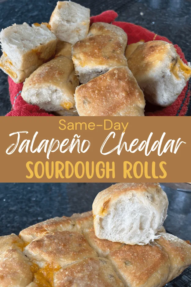 Same Day Jalapeno Cheddar Sourdough Rolls Pin for PInterest