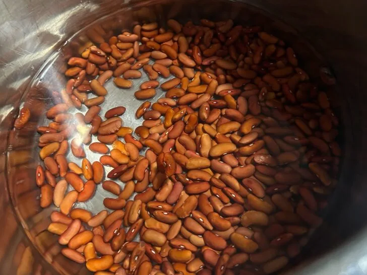 kidney beans in pan covered in water