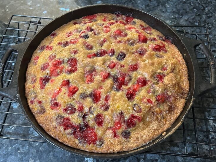 Orange Cranberry Skillet Cake baked in cast iron skillet