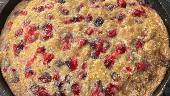 Image for Orange Cranberry Skillet Cake