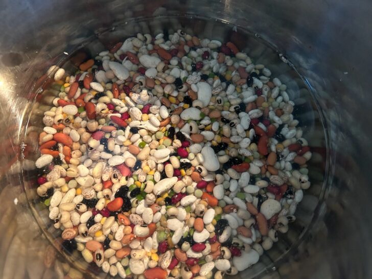 mixed beans in instant pot with water
