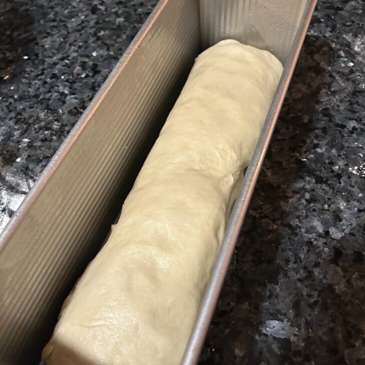 bread dough in pan