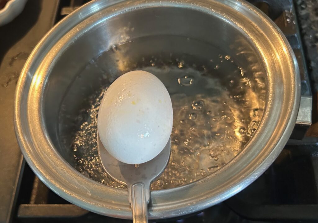 placing egg in boiling water