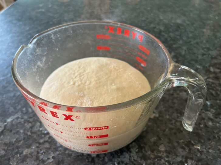 bread dough, risen in bowl