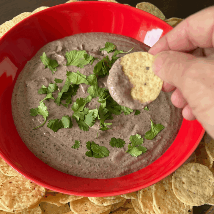 Black Bean Dip