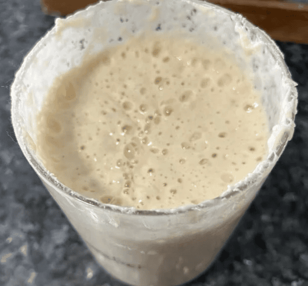 sourdough starter, bubbly