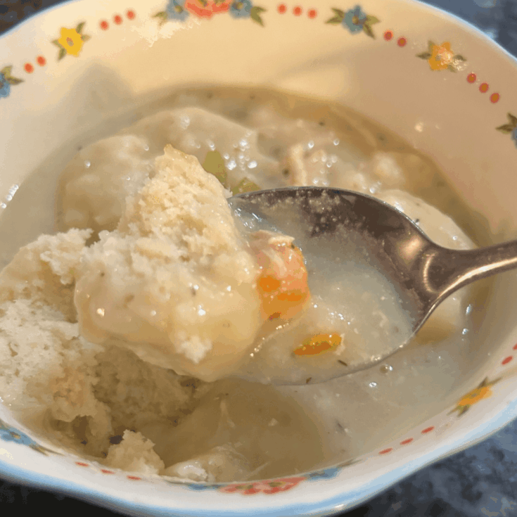 Image for Homemade Chicken and Drop Dumplings