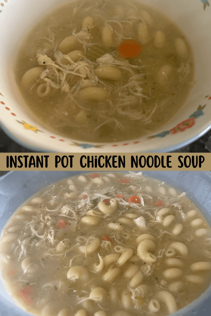 Instant Pot Chicken Noodle Soup pin for pinterest