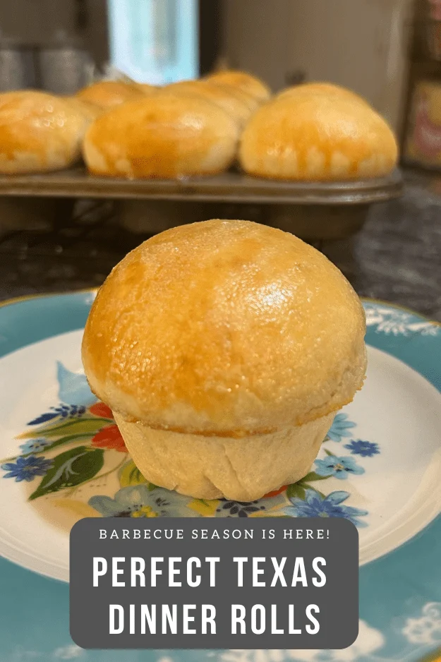 perfect texas dinner rolls