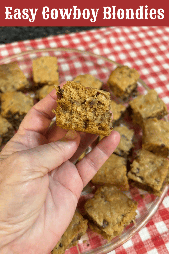 Easy Cowboy Blondies