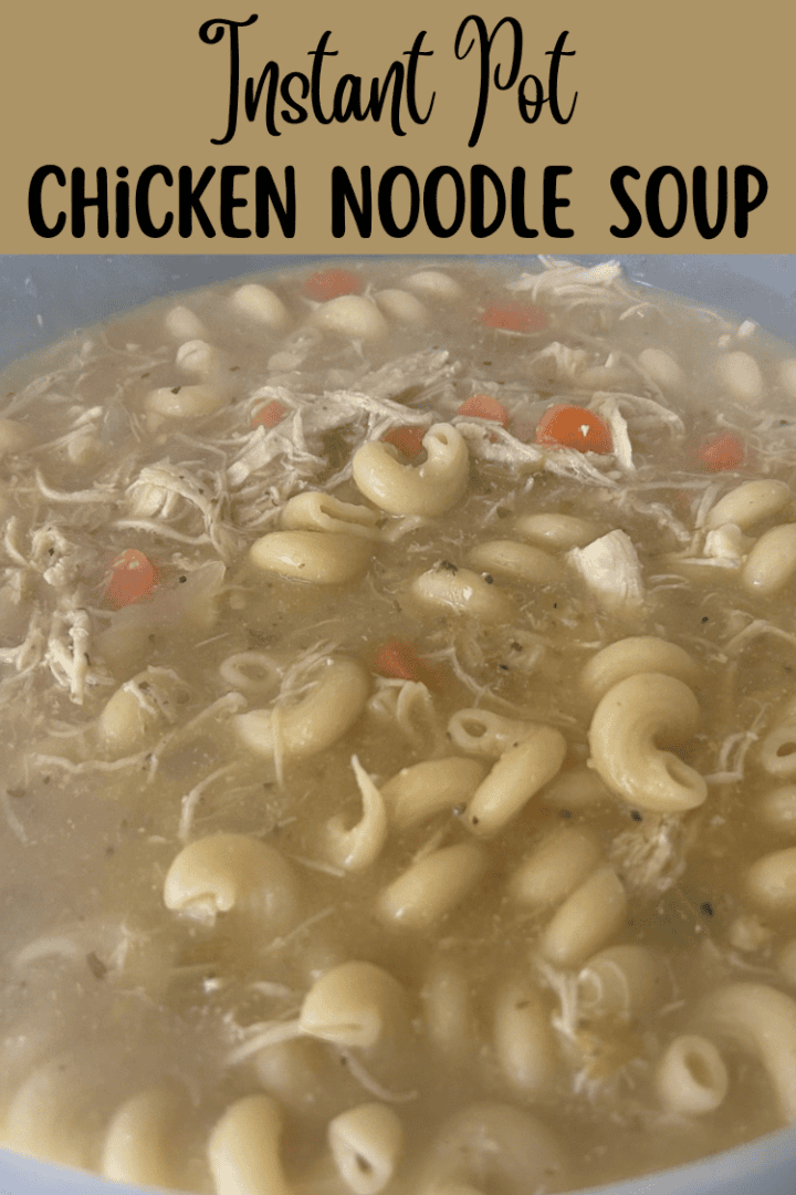 Instant Pot Chicken Noodle Soup
