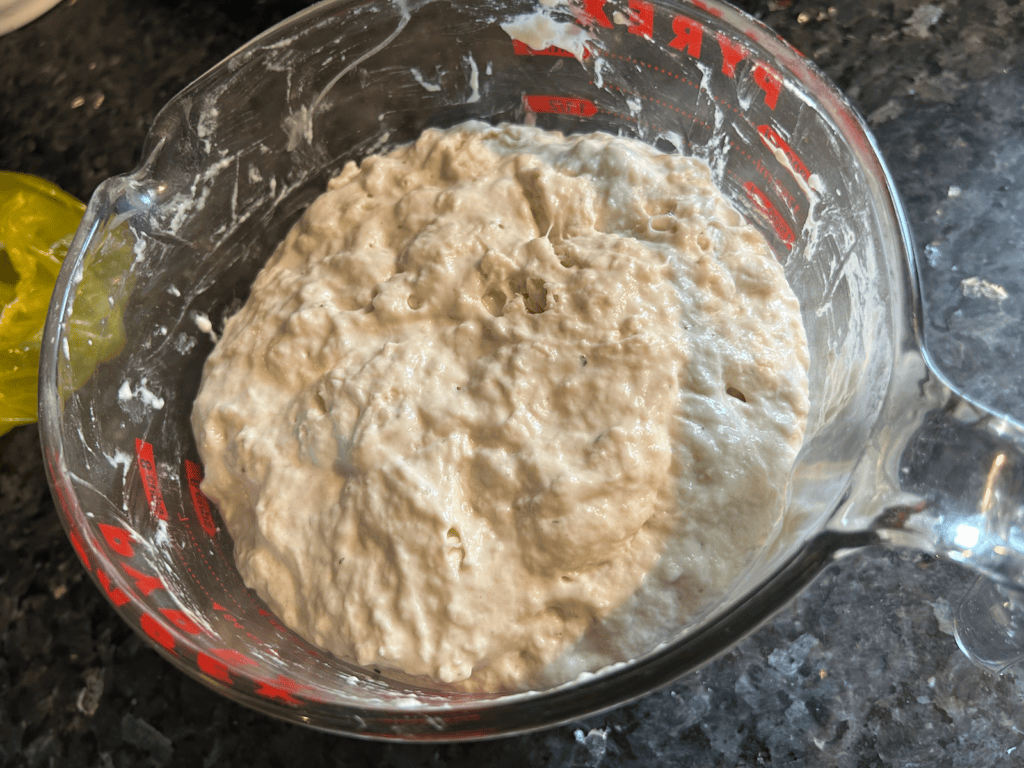 bread dough in bowl