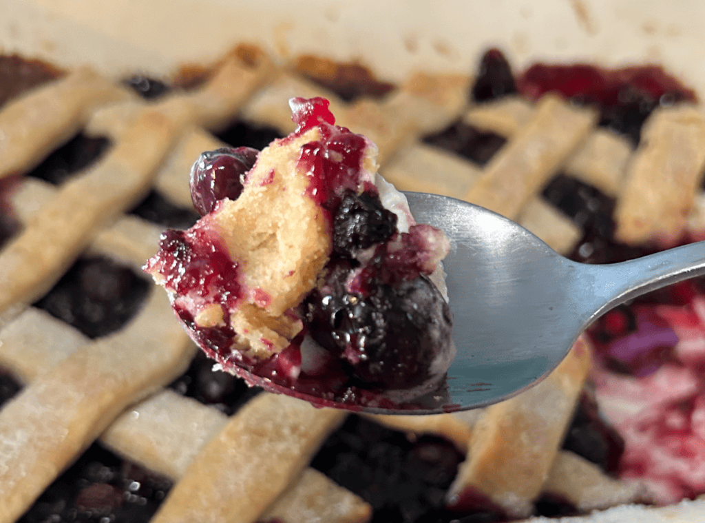 Old-Fashioned Southern Blueberry Cobbler