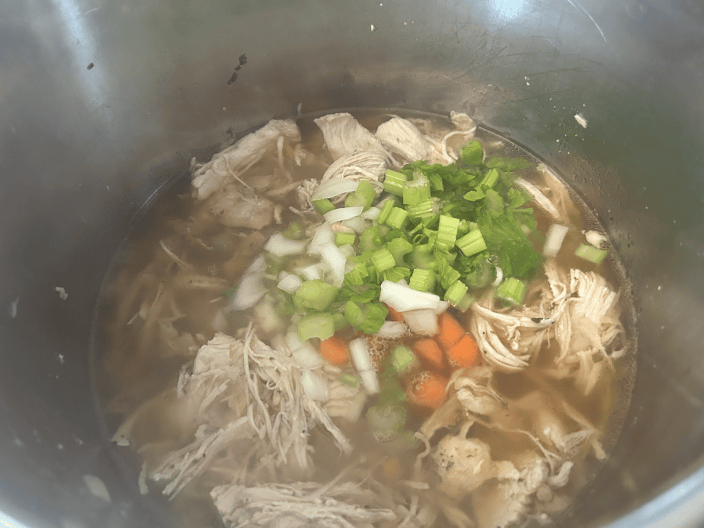 Instant Pot Chicken Noodle Soup