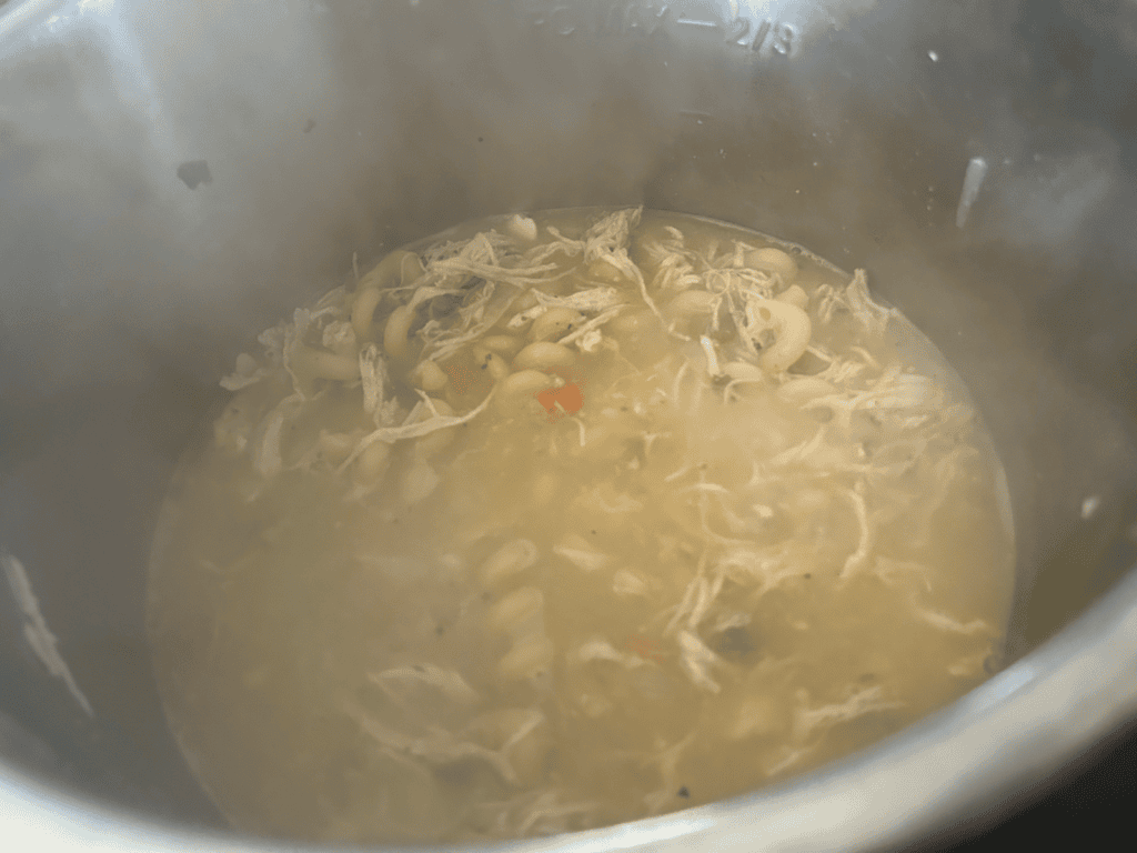 Instant Pot Chicken Noodle Soup