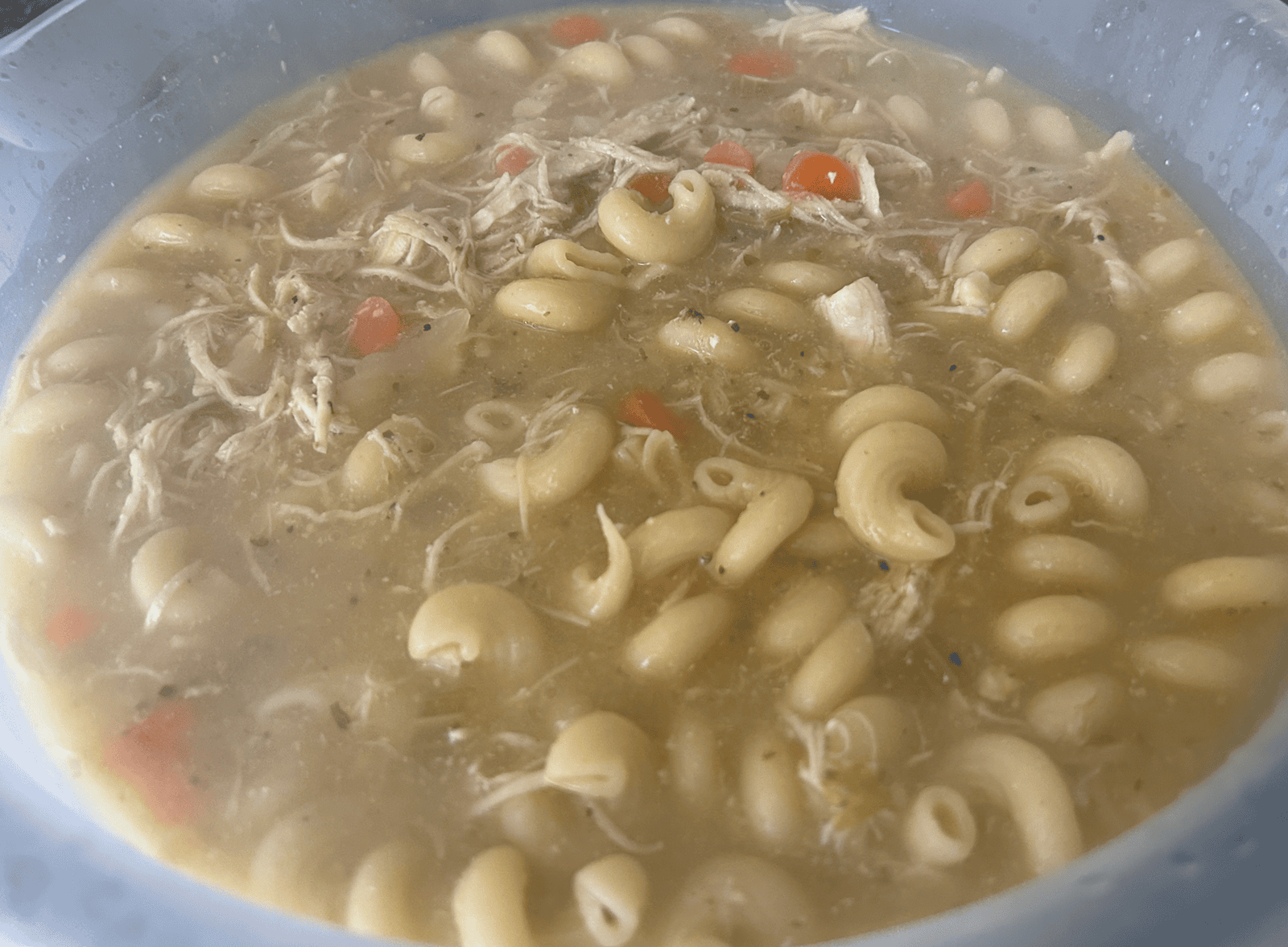 Instant Pot Chicken Noodle Soup
