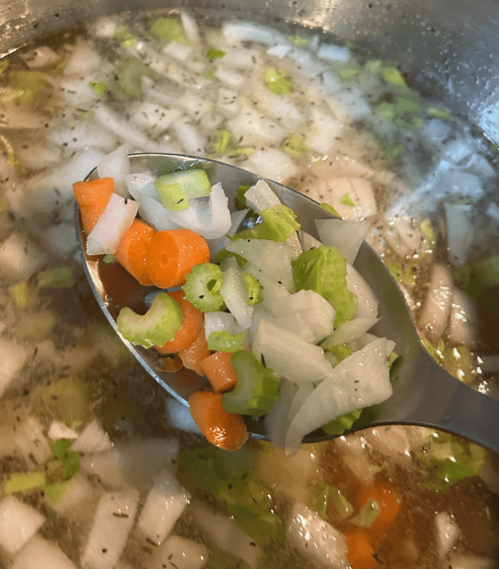 celery, carrots, onions, in chicken broth