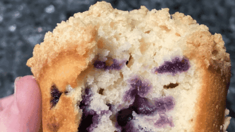 Image for Traditional Blueberry Muffins