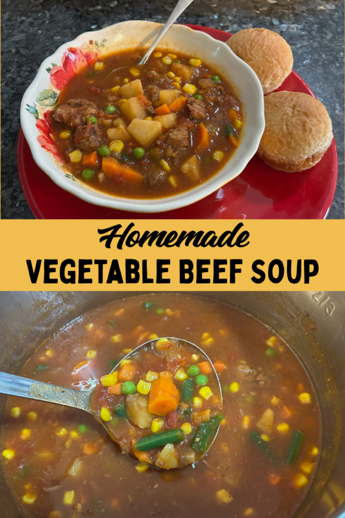 Homemade Vegetable Beef Soup
