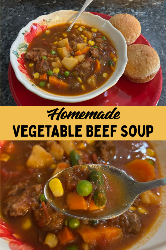 Homemade Vegetable Beef Soup