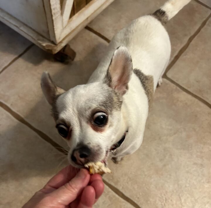 pinky pie
